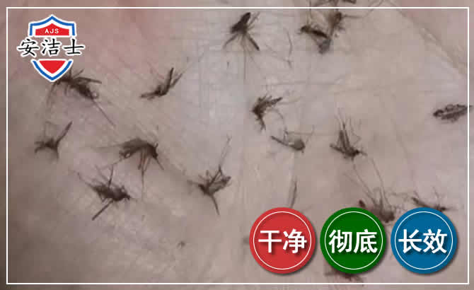 拱墅区蚊子防治-灭蚊