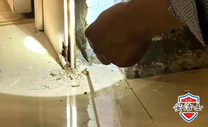 拱墅区房屋建筑防治白蚁