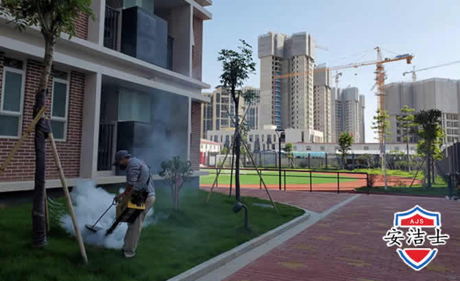 拱墅区工厂工地除白蚁