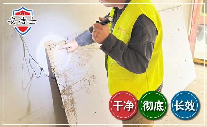 拱墅区除白蚁现场