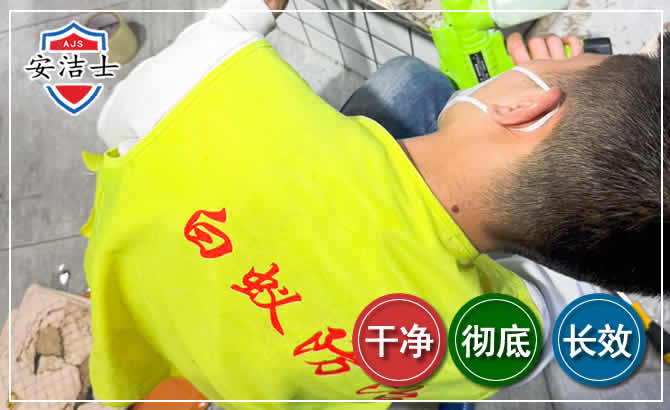 拱墅区白蚁根治现场